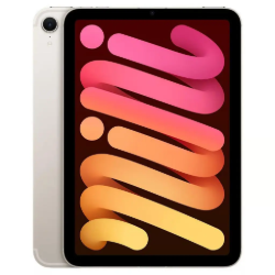 Picture of iPad mini 7