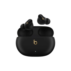 Picture of Beats Studio Buds +