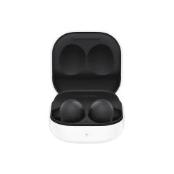 Picture of Galaxy Buds 2