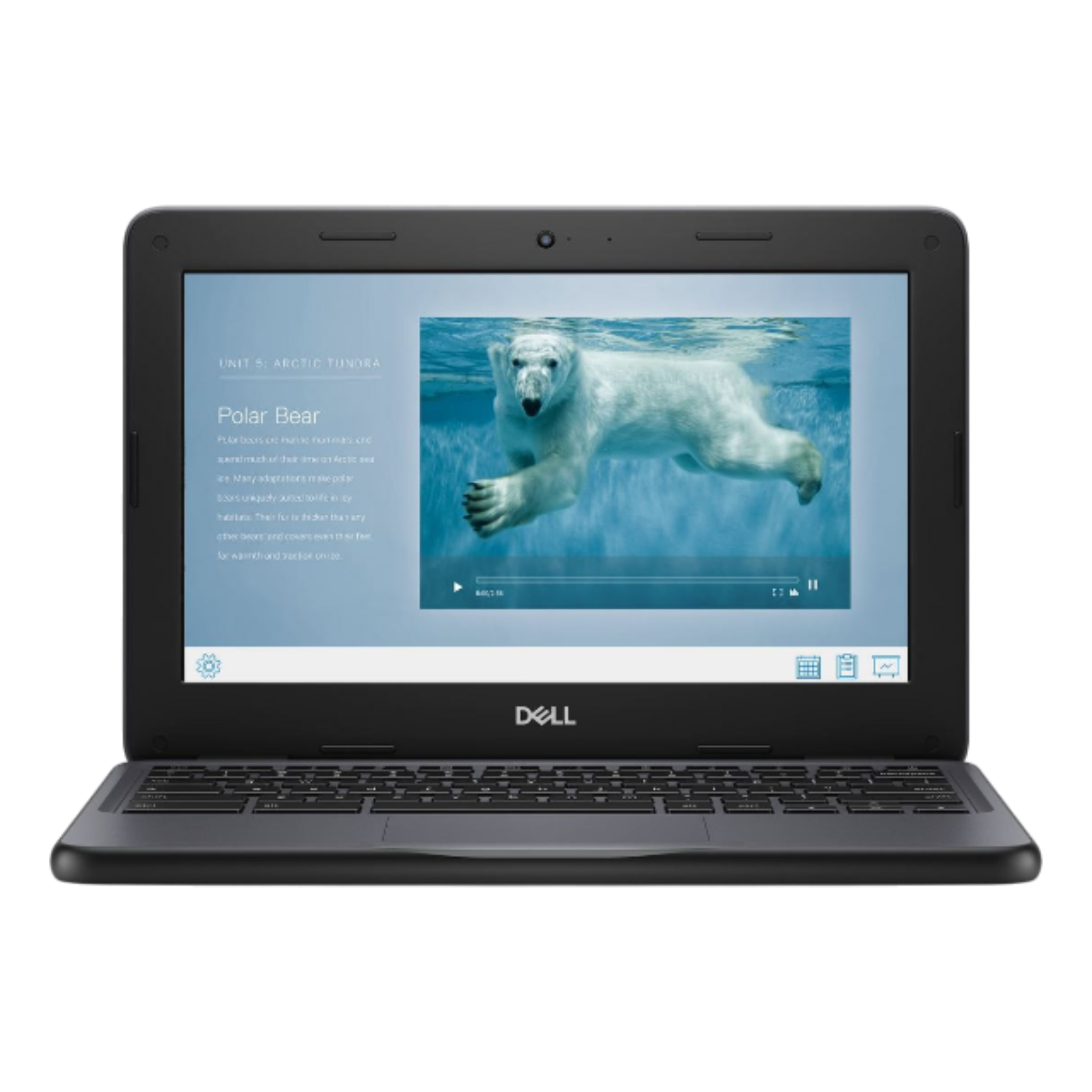 dell chrombook