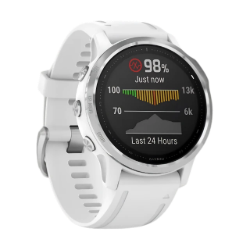 Picture of Garmin Fenix 6S (2020)