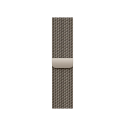 Picture of Milanese Loop