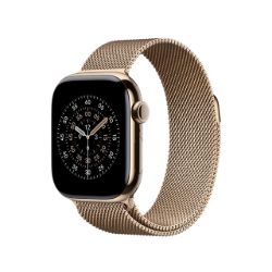 Picture of Milanese Loop