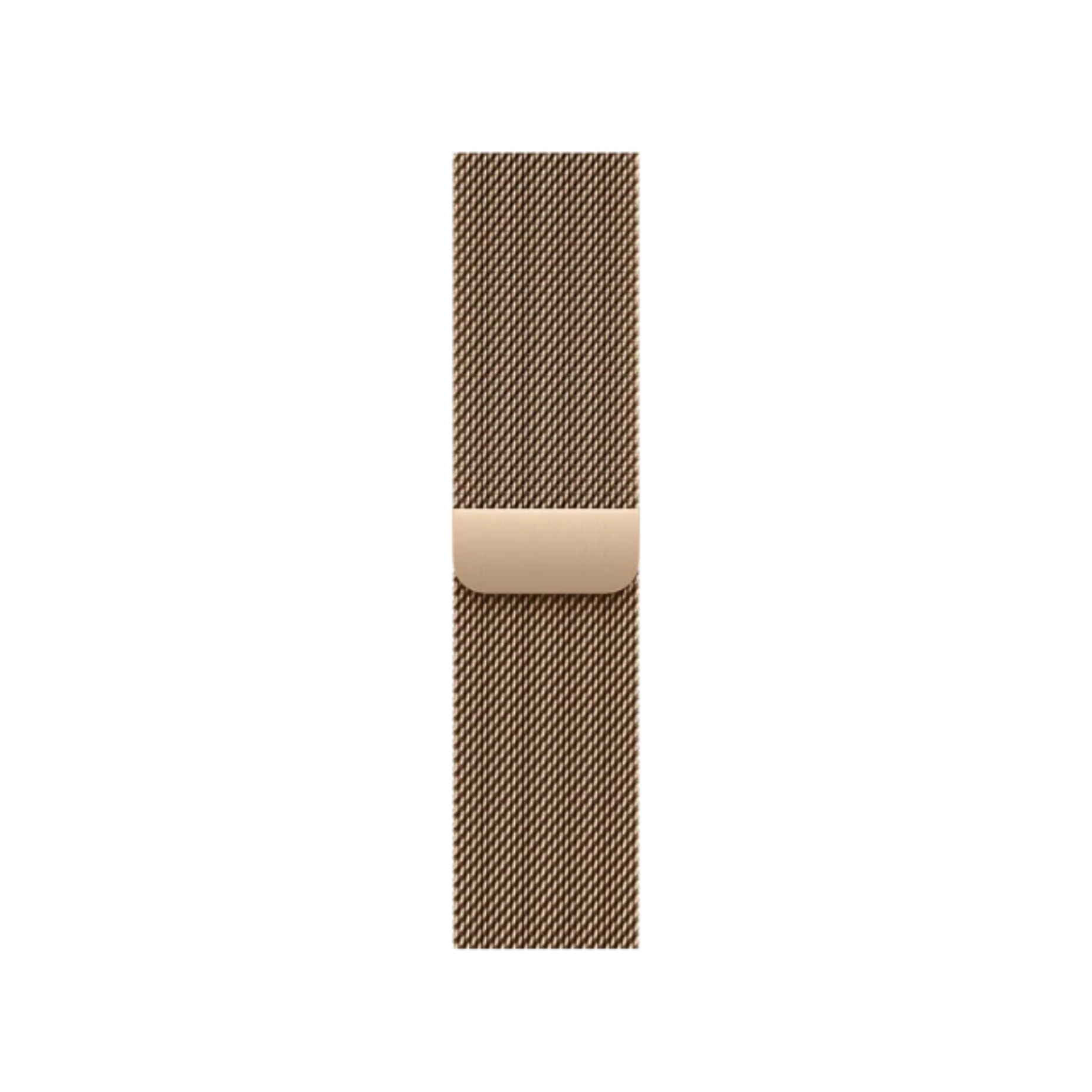 Picture of Milanese Loop