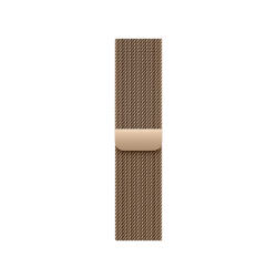 Picture of Milanese Loop