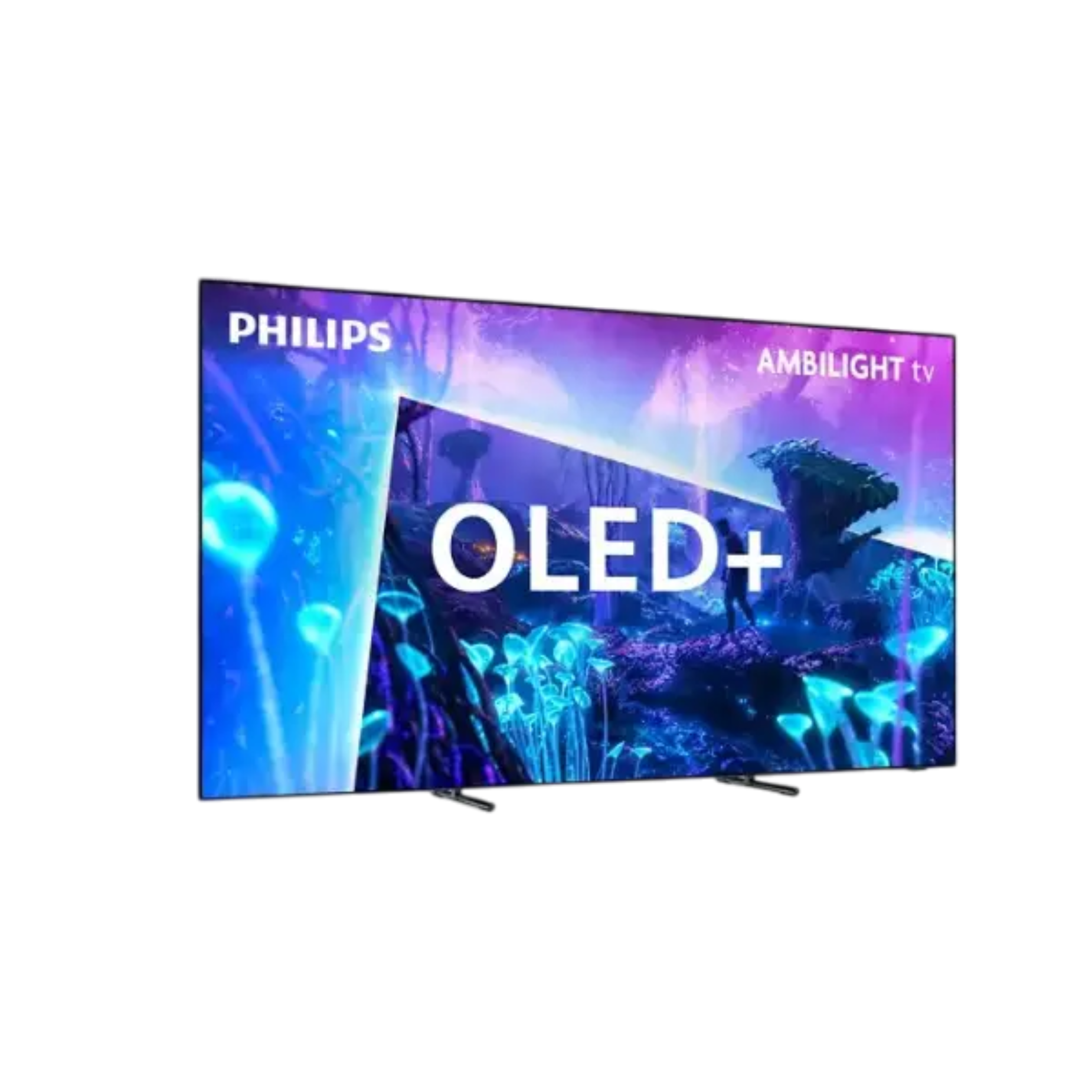 Picture of PHILIPS 43HFL3014/12 43"